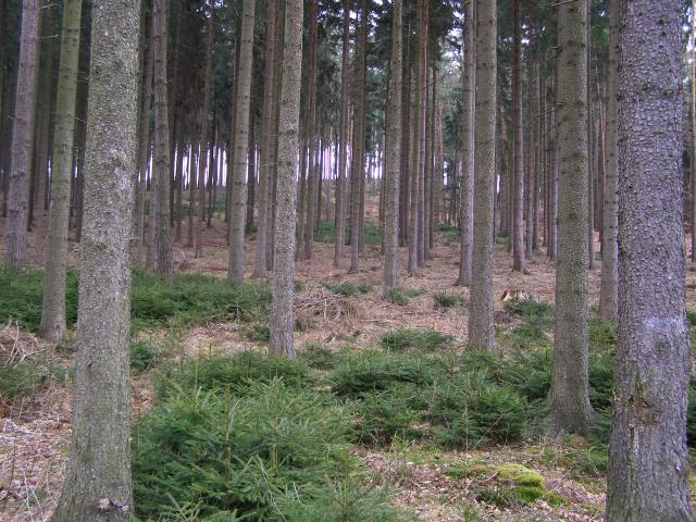 Interier Brda